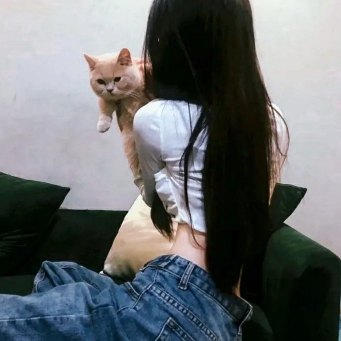 风流女贼